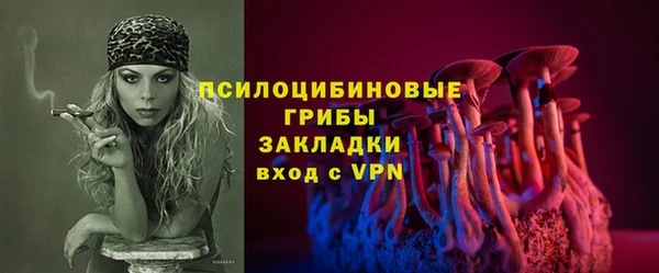 тгк Медвежьегорск