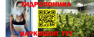 индика Волжский