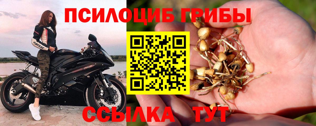 Псилоцибиновые грибы ЛСД Екатеринбург